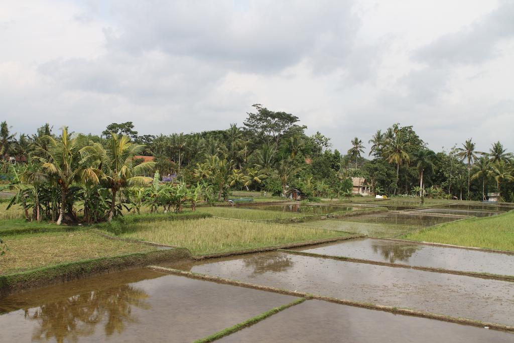 Villa Kami Ubud Экстерьер фото